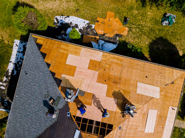 Best Shingle Roofing Installation  in Manchester, KY