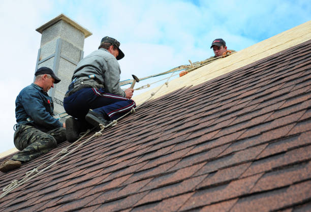 Best New Roof Installation  in Manchester, KY
